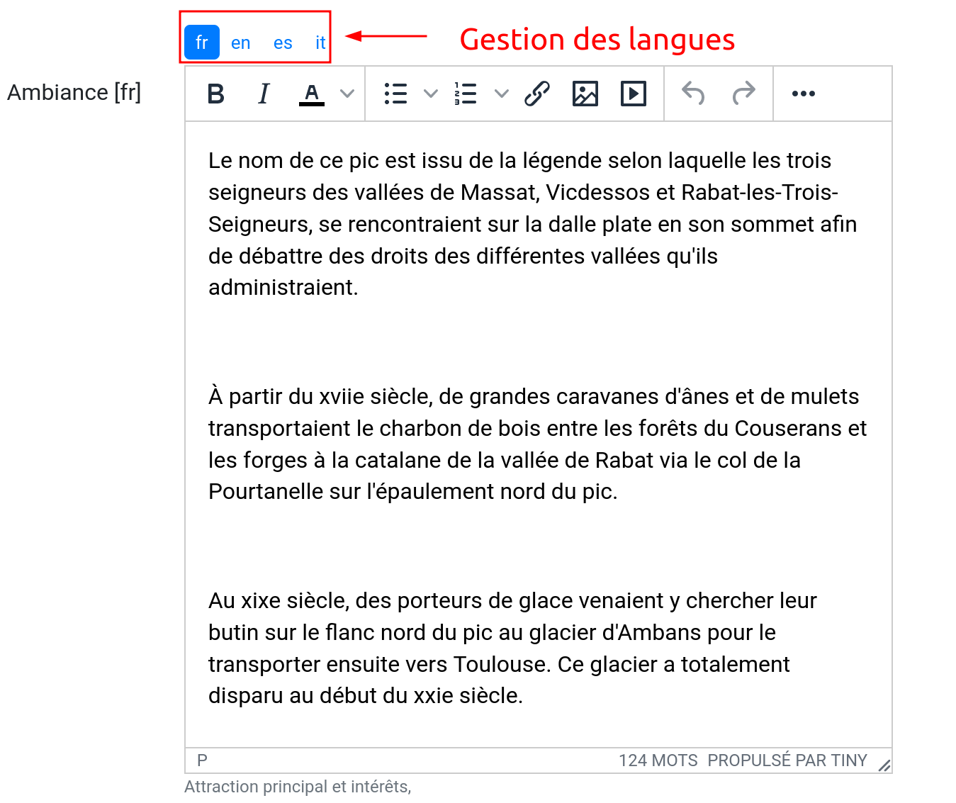 Gestion multilingue dans la fiche détail